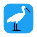 Escape the Algorithm: Customize Your Twitter Experience with Control Panel